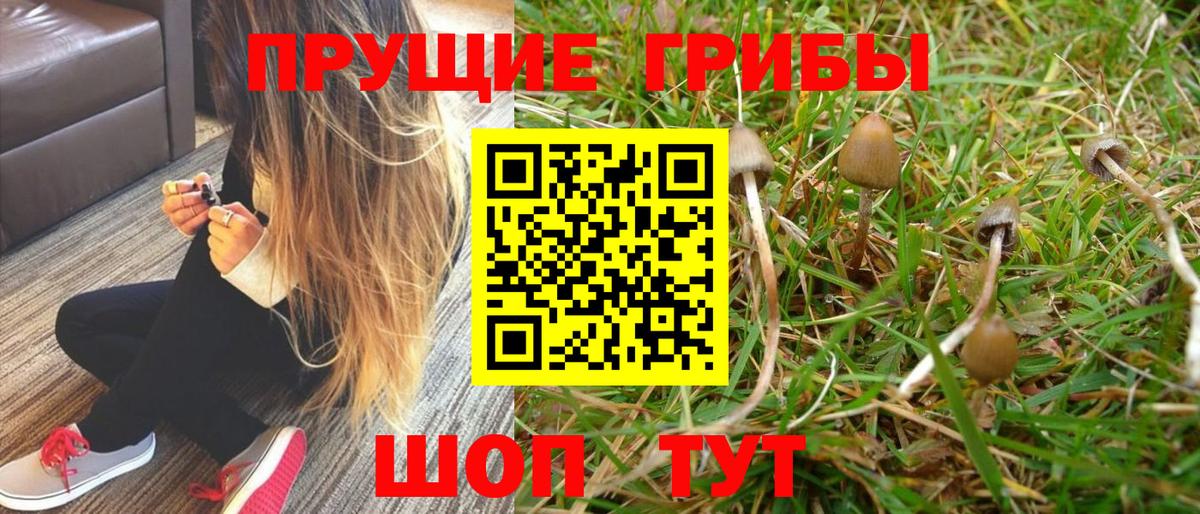 Псилоцибиновые грибы мухоморы  Вход с VPN  Галлюциногенные грибы Magic Shrooms  Борзя 