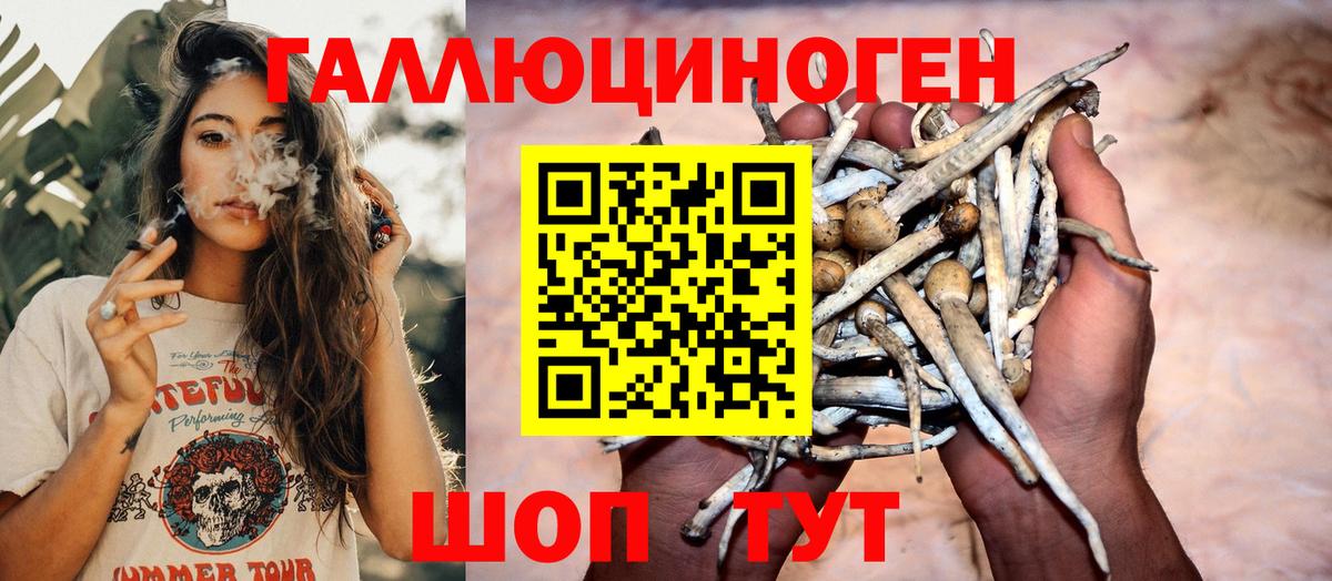 Псилоцибиновые грибы мухоморы Борзя